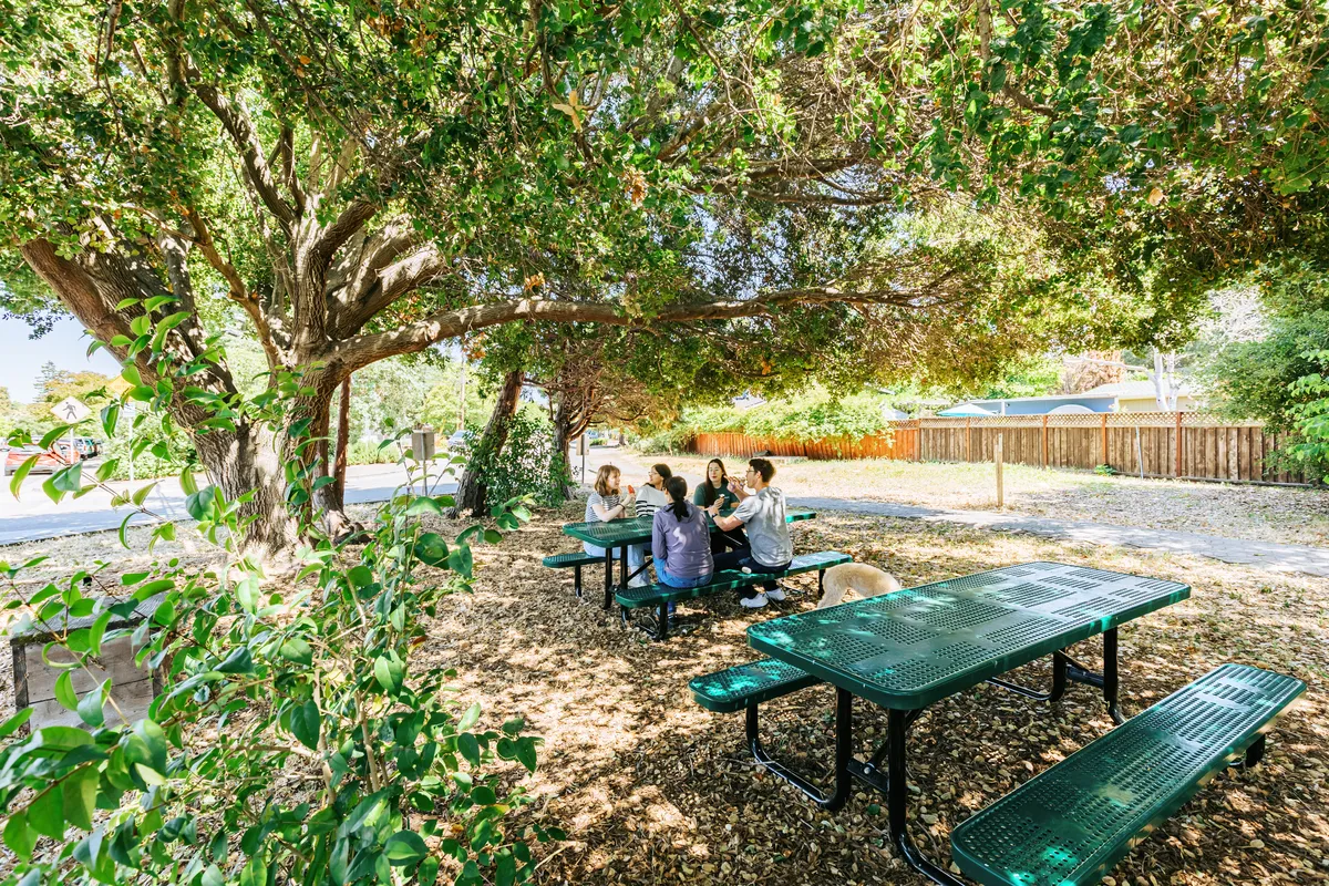 Outdoor Meeting Area